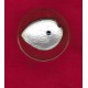 PALAU 5 dolares 2012 plata Haliotis Iris